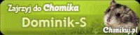 Dominik-S