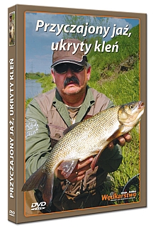 obrazek