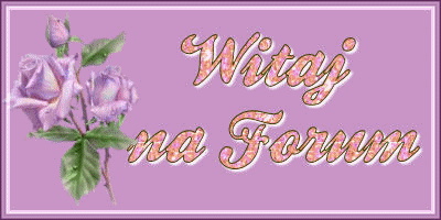 http://img.liczniki.org/20100622/witaj_forum-1277208434.jpg