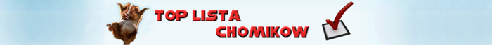 Top lista najlepszych chomików - Chomikuj.pl