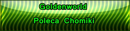 baner goldenworld