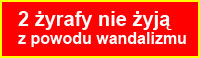 Wandale zabili dwie żyrafy!