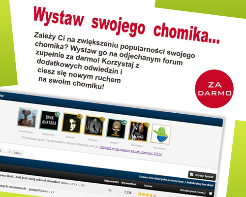 Zwiększ swoją popularność - ZA FREE!