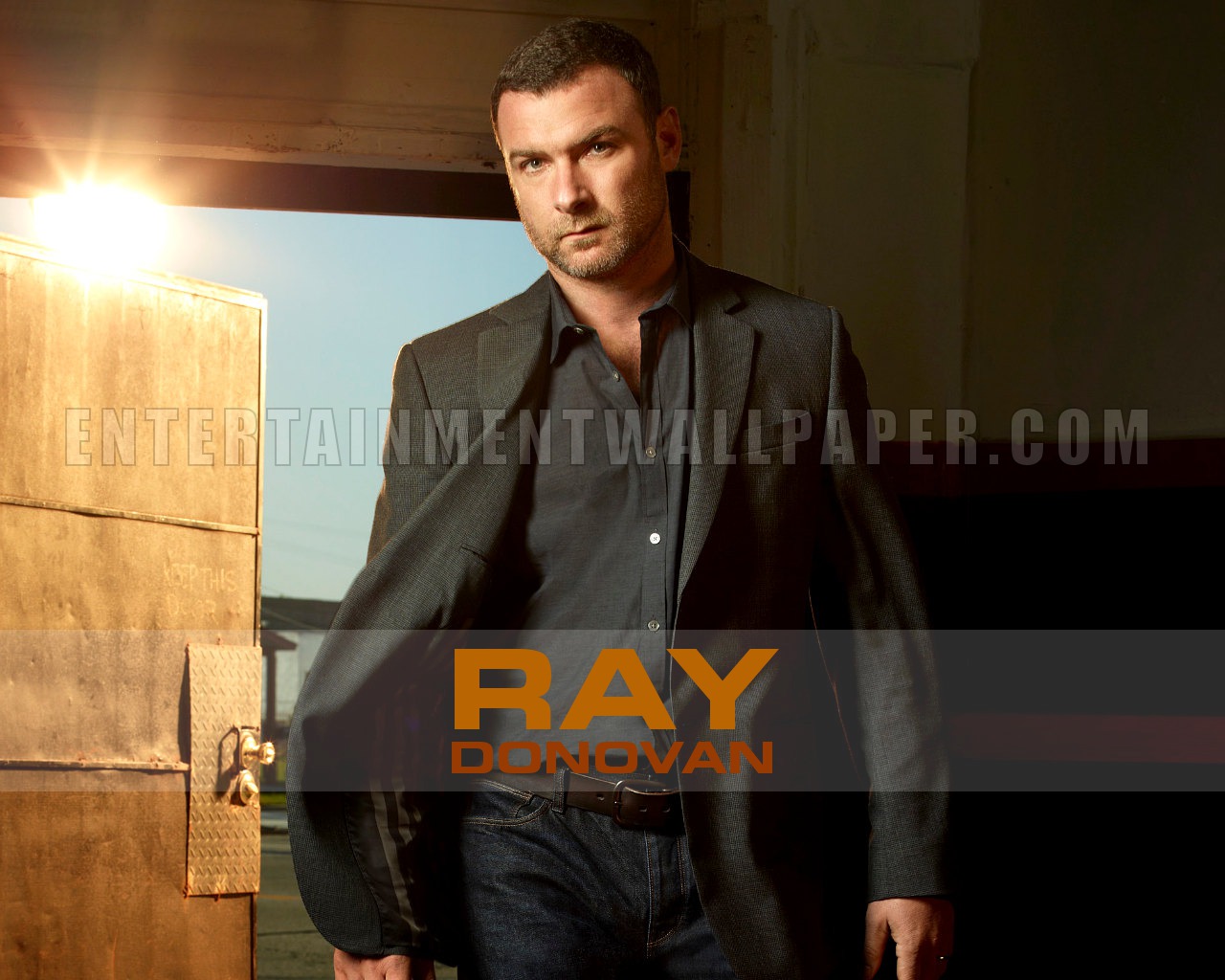 Ray_Donovan-1375162238.jpg