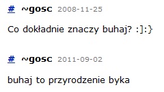 [Obrazek: buhaj-1376861799.jpg]