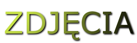 zdj_cia-1390073537.png
