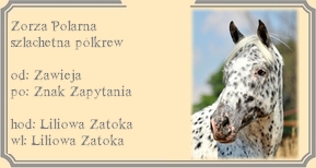 http://liliowa-zatoka.blogspot.com/2014/06/zorza-polarnaklsp.html