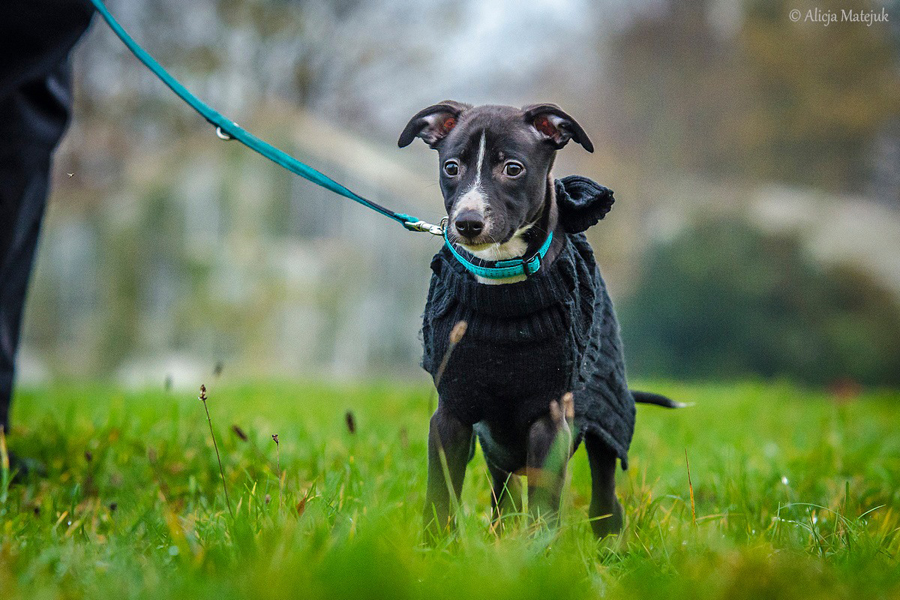 10704420_888657157826227_347694881579859