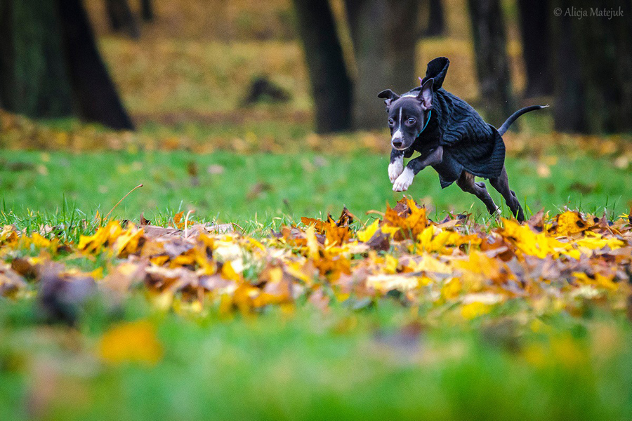 1415570_888657097826233_3952436122200807