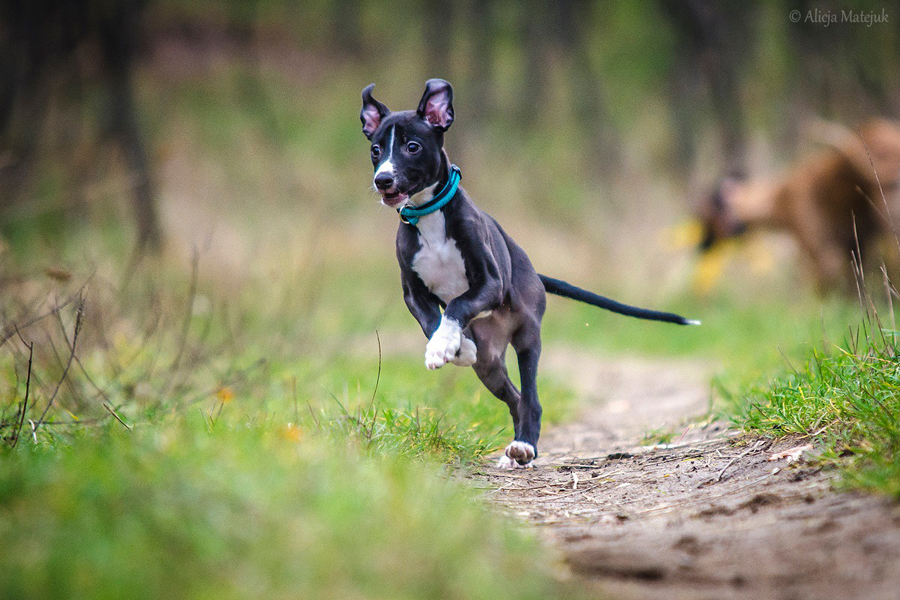 10012252_891449920880284_741374696837440