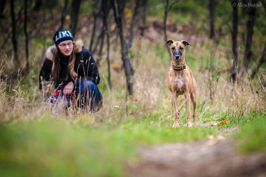 10734076_891450020880274_756664723151750