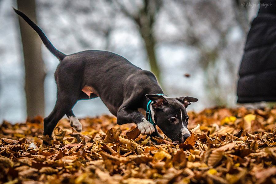 1403027_891450057546937_6914031263786549