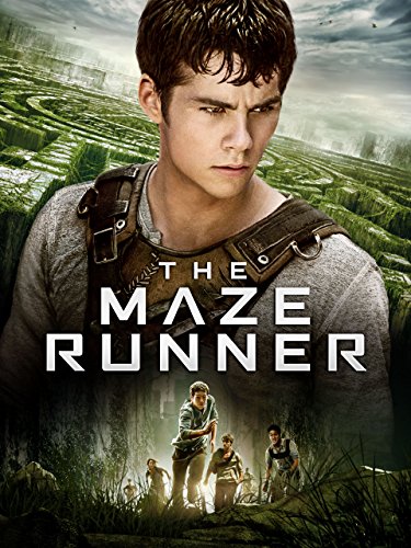 The Maze Runner / Więzień labiryntu (2014) PL BRRip 480p AC3 Xvid-MORS