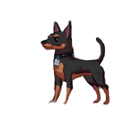 pinscher