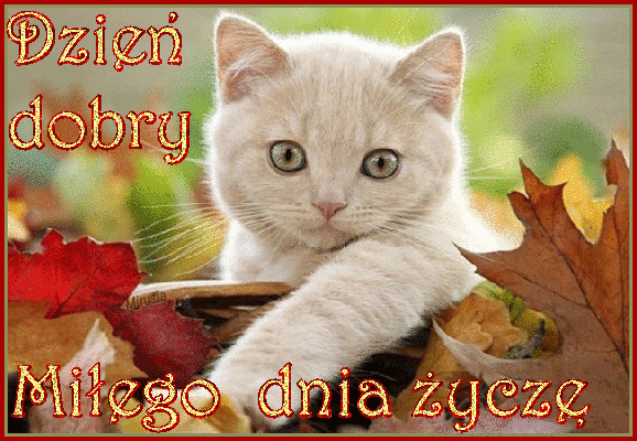Znalezione obrazy dla zapytania miłe powitanie gif
