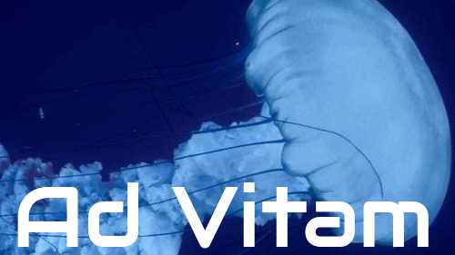 Ad Vitam – sezon 1