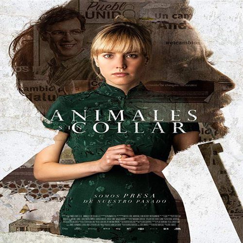 NiEOKiEŁZNANI / Animales sin collar